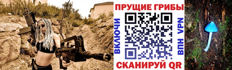 Галлюциногенные грибы GOLDEN TEACHER  Купить закладки  Азнакаево